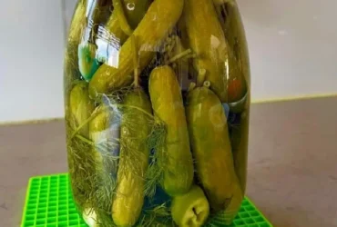 מלפפונים חמוצים ביתיים וקטנטנים ב-4 ימים!